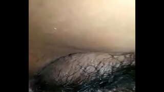 Заміжня сафадінья QR6 коричнева